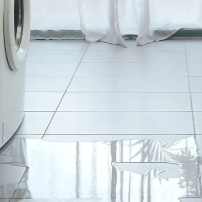 Appliance Leak Cleanup in Madison County, MS